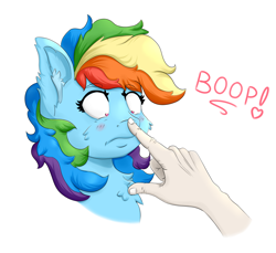 Size: 2076x1904 | Tagged: safe, artist:nedemai, character:rainbow dash, species:human, species:pegasus, species:pony, g4, blushing, boop, chest fluff, ear fluff, female, simple background, solo, this will end in pain and/or death, white background