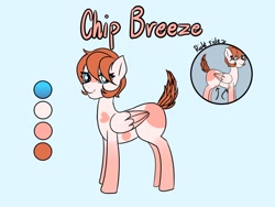 Size: 1600x1200 | Tagged: safe, artist:plaguemare, oc, oc only, oc:chip breeze, species:pegasus, species:pony, g4, markings, pegasus oc, reference sheet, solo, wings