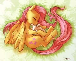 Size: 1850x1500 | Tagged: safe, artist:katiramoon, character:angel bunny, character:fluttershy, cute, duo, grass, pet, sleeping