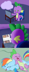 Size: 599x1500 | Tagged: safe, artist:girgrunny, character:rainbow dash, character:spike, butthurt, spike drama, spike's laptop