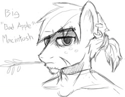 Size: 1163x900 | Tagged: safe, artist:devious-stylus, character:big mcintosh, species:earth pony, species:pony, fanfic, freckles, male, mercenary, pierced ears, ponytail, portrait, scar, sketch, solo, stallion, straw in mouth