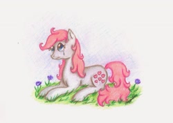 Size: 2528x1795 | Tagged: safe, artist:okiegurl1981, character:snuzzle (g1), g1, female, solo, traditional art