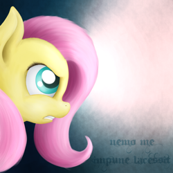 Size: 894x894 | Tagged: safe, artist:zirbronium, character:fluttershy, female, solo
