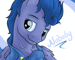 Size: 2500x2000 | Tagged: safe, artist:nobody47, oc, oc only, species:pegasus, species:pony, clothing, cute, handsome, portrait, smiling, smirk, solo