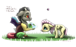 Size: 1280x802 | Tagged: safe, artist:arceus55, character:discord, character:fluttershy, species:draconequus, species:pegasus, species:pony, blank flank, butterfly, cheek fluff, cute, dawwww, dialogue, discute, duo, duo male and female, female, filly, filly fluttershy, floppy ears, foal, grass, looking at each other, male, profile, shy, shyabetes, signature, simple background, waterfall, white background, wings, young discord, younger