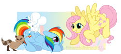 Size: 2270x1019 | Tagged: safe, artist:immortaltanuki, character:angel bunny, character:fluttershy, character:rainbow dash, personality swap, raccoon