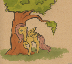 Size: 916x822 | Tagged: safe, artist:mumbles, character:fluttershy, female, solo, tree
