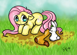 Size: 507x364 | Tagged: safe, artist:veritasket, character:angel bunny, character:fluttershy, clothing, socks