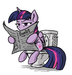 Size: 1308x1368 | Tagged: safe, artist:sonicpegasus, character:twilight sparkle, character:twilight sparkle (alicorn), species:alicorn, species:pony, but why, female, mare, newspaper, potty, potty time, solo, toilet, toilet sparkle, vulgar