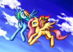 Size: 1181x851 | Tagged: dead source, safe, artist:nyarmarr, character:fluttershy, character:rainbow dash, species:pegasus, species:pony, g4, duo, duo female, female, flying, mare