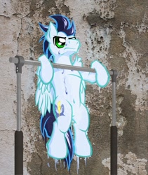 Size: 822x972 | Tagged: safe, artist:h-stallionwolf, character:soarin', species:pony, backwards cutie mark, belly button, irl, male, photo, pullup, solo, workout