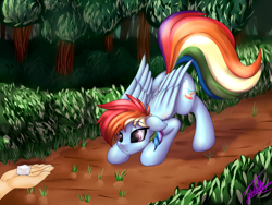 Size: 4000x3000 | Tagged: safe, artist:elzzombie, character:rainbow dash, species:human, species:pegasus, species:pony, :o, cute, eyes on the prize, face down ass up, female, floppy ears, forest, hand, mare, pounce, solo focus, sugarcube