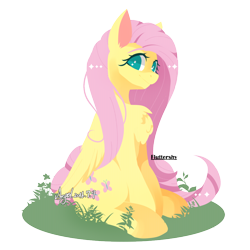 Size: 1120x1120 | Tagged: safe, artist:snow angel, character:fluttershy, chest fluff, cute, digital art, ear fluff, female, fluffy, folded wings, lineless, looking at you, pixiv, shyabetes, simple background, sitting, solo, transparent background