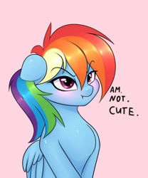 Size: 1000x1200 | Tagged: safe, artist:elzzombie, character:rainbow dash, species:pegasus, species:pony, :t, blatant lies, blushing, cute, dashabetes, female, floppy ears, glare, i'm not cute, looking at you, madorable, mare, pink background, scrunchy face, simple background, solo, truth, tsunderainbow, tsundere