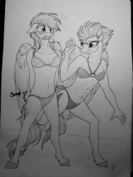 Size: 1224x1632 | Tagged: safe, artist:lupiarts, character:rainbow dash, character:spitfire, species:anthro, species:plantigrade anthro, species:pony, ship:spitdash, bikini, blushing, clothing, embarrassed, female, kinky, lesbian, love, mare, monochrome, panties, sexy, shipping, sneaky, swimsuit, traditional art, underwear