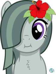 Size: 1800x2400 | Tagged: safe, artist:arifproject, character:marble pie, species:earth pony, species:pony, :i, arif's scrunchy pone, cheek puffing, cute, female, flower, flower in hair, hibiscus, looking at you, simple background, solo, transparent background, vector