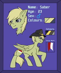 Size: 1824x2191 | Tagged: safe, artist:fkk, oc, oc only, species:pony, commission, male, nudity, raised hoof, reference sheet, solo, stallion, ych result