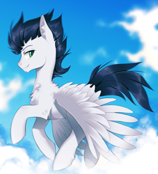 Size: 817x900 | Tagged: safe, artist:margony, character:soarin', species:pegasus, species:pony, belly fluff, chest fluff, cloud, collaboration, ear fluff, flying, leg fluff, male, profile, raised hoof, sky, smiling, solo, stallion