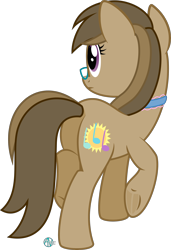 Size: 2000x2916 | Tagged: safe, artist:arifproject, oc, oc only, oc:dawnsong, species:earth pony, species:pony, choker, cutie mark, female, frog (hoof), glasses, mare, plot, raised hoof, raised leg, rear view, simple background, solo, transparent background, underhoof, vector
