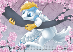Size: 1000x707 | Tagged: safe, artist:arctic-fox, oc, oc only, oc:cirrus sky, species:hippogriff, species:pony, calendar, cherry blossoms, claws, cute, floppy ears, flower, flower blossom, hybrid, male, solo, stallion, tree