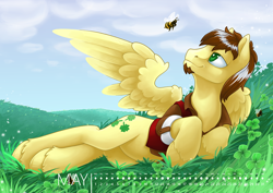 Size: 1200x848 | Tagged: safe, artist:arctic-fox, oc, oc only, species:pegasus, species:pony, bee, bumblebee, calendar, clothing, cloud, clover, four leaf clover, grass field, insect, jacket, looking up, male, may, smiling, solo, stallion, unshorn fetlocks