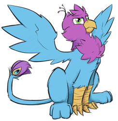Size: 909x931 | Tagged: safe, artist:captainhoers, artist:tinibirb, edit, oc, oc only, oc:gyro feather, oc:gyro tech, species:griffon, behaving like a bird, birds doing bird things, cheek fluff, chest fluff, color edit, colored, griffonized, griffons doing bird things, leg fluff, majestic, puffy cheeks, simple background, solo, species swap, spread wings, white background, wings