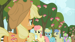 Size: 956x536 | Tagged: safe, artist:capnpea, edit, screencap, character:apple bloom, character:applejack, character:daisy, character:gala appleby, character:goldengrape, character:meadow song, character:pink lady, character:sassaflash, episode:the super speedy cider squeezy 6000, g4, my little pony: friendship is magic, apple family member