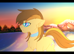 Size: 1800x1320 | Tagged: safe, artist:fkk, oc, oc only, oc:dawnsong, species:earth pony, species:pony, collar, female, glasses, mare, outdoors, snow, sunrise, ych result