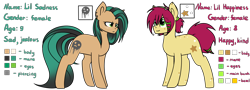 Size: 4000x1440 | Tagged: safe, artist:despotshy, oc, oc only, oc:lil happiness, oc:lil sadness, species:earth pony, species:pony, color palette, female, mare, reference sheet, simple background, sisters, transparent background