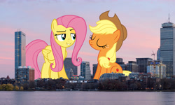 Size: 5000x3000 | Tagged: safe, artist:djdavid98 edits, artist:tardifice, artist:theotterpony, character:applejack, character:fluttershy, species:pony, absurd resolution, boston, clothing, cowboy hat, eyes closed, freckles, giant pony, hat, highrise ponies, irl, macro, massachusetts, photo, ponies in real life, raised eyebrow, sitting, stetson, story in the source, water