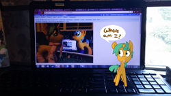 Size: 3264x1836 | Tagged: safe, artist:kryptchild, artist:lumenglace, character:snails, species:pony, female, glitter shell, inception, irl, meta, photo, plushie, trans female, transgender