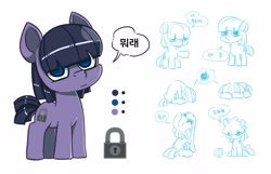 Size: 2480x1601 | Tagged: safe, artist:mrs1989, oc, oc only, oc:indigo buckle, species:earth pony, species:pony, cutie mark, dialogue, korean, male, reference sheet, sitting, solo, speech bubble