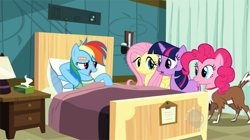 Size: 626x351 | Tagged: safe, artist:capnpea, edit, edited screencap, screencap, character:fluttershy, character:pinkie pie, character:rainbow dash, character:twilight sparkle, character:winona, episode:read it and weep, g4, my little pony: friendship is magic, bed, fimbriae, hospital, what has magic done, what has science done