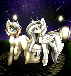 Size: 3000x3200 | Tagged: safe, artist:despotshy, oc, oc only, species:alicorn, species:earth pony, species:pony, female, high res, mare, night, shooting star, stars
