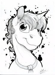 Size: 1839x2518 | Tagged: safe, artist:lupiarts, oc, oc only, oc:think pink, species:pony, bust, male, monochrome, portrait, solo, stallion