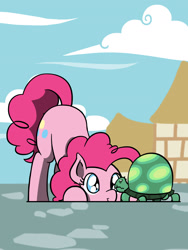 Size: 1350x1800 | Tagged: safe, artist:flutterluv, character:pinkie pie, character:tank, species:earth pony, species:pony, behaving like a dog, cute, diapinkes, female, looking at each other, mare, ponified animal photo, ponyville, smiling, tortoise