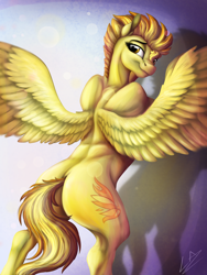 Size: 3000x4000 | Tagged: safe, artist:lupiarts, character:spitfire, species:pegasus, species:pony, athlete, female, high res, lidded eyes, looking back, mare, plot, shadow, signature, solo