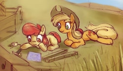 Size: 1094x637 | Tagged: safe, artist:gsphere, character:apple bloom, character:applejack, blueprint, building, hammer, prone, sisters