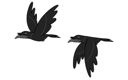 Size: 5055x3173 | Tagged: safe, artist:andoanimalia, species:bird, species:crow, episode:family appreciation day, g4, my little pony: friendship is magic, animal, duo, flying, no pony, show trace, simple background, transparent background, vector