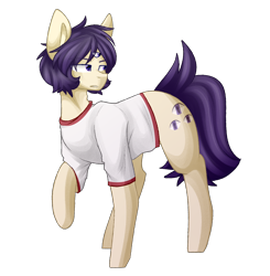 Size: 1410x1440 | Tagged: safe, artist:despotshy, oc, oc:nell, species:earth pony, species:pony, clothing, male, shirt, simple background, solo, stallion, third eye, transparent background