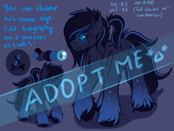 Size: 3000x2250 | Tagged: safe, artist:fkk, oc, oc only, species:pony, adoptable, auction, commission, cutie mark, male, reference, reference sheet, solo, stallion, unshorn fetlocks, ych example, your character here