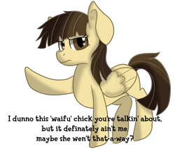 Size: 3500x3000 | Tagged: safe, artist:rainbowtashie, character:wild fire, species:pegasus, species:pony, background pony, dialogue, female, pointing, simple background, solo, talking to viewer, text, transparent background, tsundere, waifu