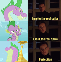 Size: 488x500 | Tagged: safe, artist:queencold, edit, edited screencap, screencap, character:spike, episode:molt down, episode:secret of my excess, episode:the cutie mark chronicles, g4, my little pony: friendship is magic, comic, cutie mark chronicles spike, funny, greed spike, magneto, meme, perfection, screencap comic, spikezilla, x-men first class