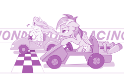 Size: 1280x836 | Tagged: safe, artist:dstears, character:fluttershy, character:rainbow dash, animated at source, cute, duo, female, frown, go-kart, racing, shyabetes, smiling, unamused, yay