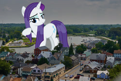 Size: 1920x1279 | Tagged: safe, artist:arifproject, artist:theotterpony, edit, character:rarity, species:pony, chesapeake, giant pony, highrise ponies, irl, lidded eyes, macro, photo, ponies in real life, solo, story included, united states, vector, vector edit, virginia, wet mane