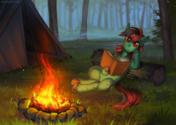 Size: 1273x900 | Tagged: safe, artist:margony, oc, oc only, oc:forest farseer, species:earth pony, species:pony, book, campfire, female, fog, forest, grass, looking at you, mare, nature, resting, scenery, sitting, solo, tent, tree