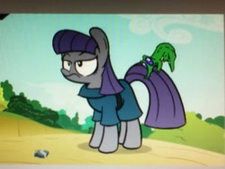 Size: 960x720 | Tagged: safe, artist:turtlefarminguy, character:gummy, character:maud pie, episode:maud pie, g4, my little pony: friendship is magic, annoyed, picture of a screen