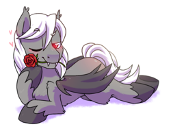 Size: 1000x750 | Tagged: safe, artist:paperbagpony, derpibooru original, oc, oc:dracula, species:bat pony, species:pony, bat pony oc, butt blush, flower, flower in mouth, heart, male, mouth hold, red eyes, rose, rose in mouth, simple background, stallion, vampire, white background