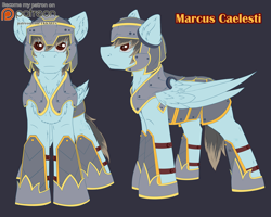 Size: 2000x1600 | Tagged: safe, artist:fkk, oc, oc only, oc:marcus caelesti, species:pegasus, species:pony, armor, commission, make, male, patreon, patreon logo, reference, reference sheet, solo, stallion