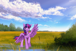 Size: 1503x1000 | Tagged: safe, artist:margony, character:twilight sparkle, character:twilight sparkle (alicorn), species:alicorn, species:pony, female, jewelry, looking at you, necklace, outdoors, power line, scenery, ych result